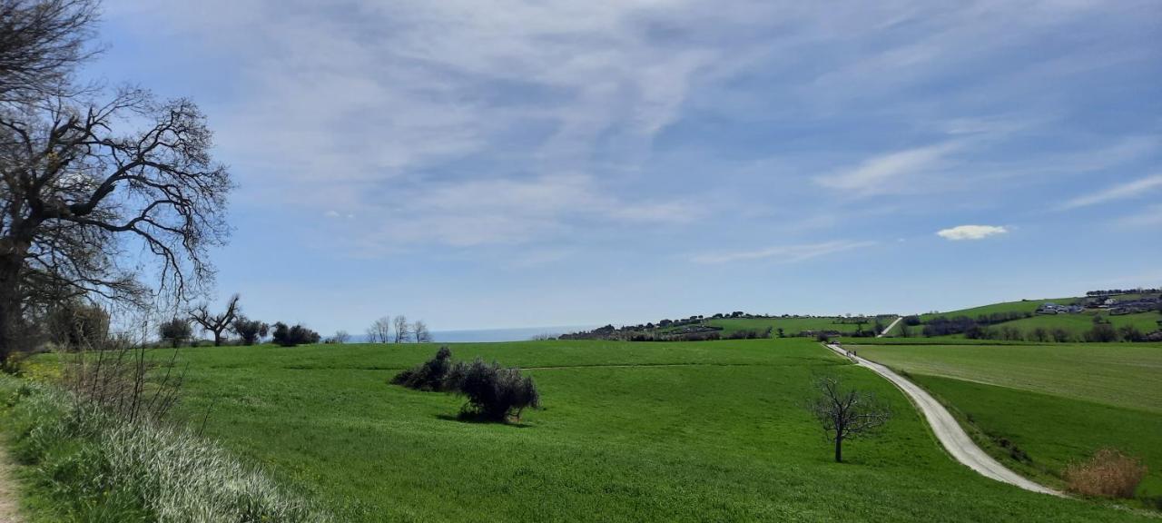 Appartamento In Contesto Esclusivo In Pieno Centro Camerano Exterior foto